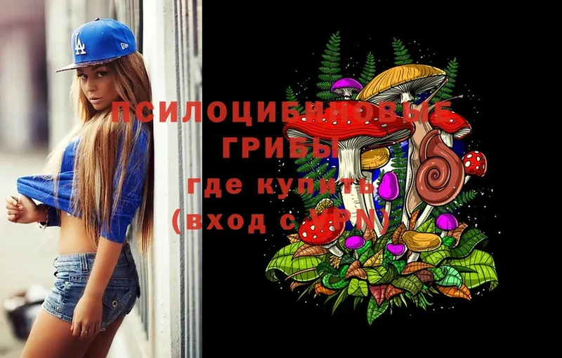 Псилоцибиновые грибы Magic Shrooms  Кызыл 